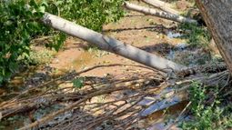 El Gobierno decretó la emergencia en zonas afectadas por granizo