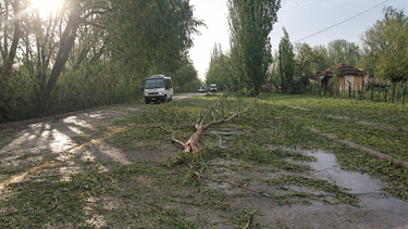 El fenómeno afectó a varios distritos del departamento. El fenómeno afectó a varios distritos del departamento.