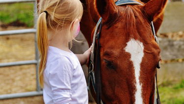 Las jornadas, que generalmente comienzan por la tarde, reúnen a un equipo reducido pero multifuncional