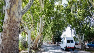 El proyecto frenado dos años que la Legislatura de Mendoza se prepara para sancionar. El proyecto frenado dos años que la Legislatura de Mendoza se prepara para sancionar.