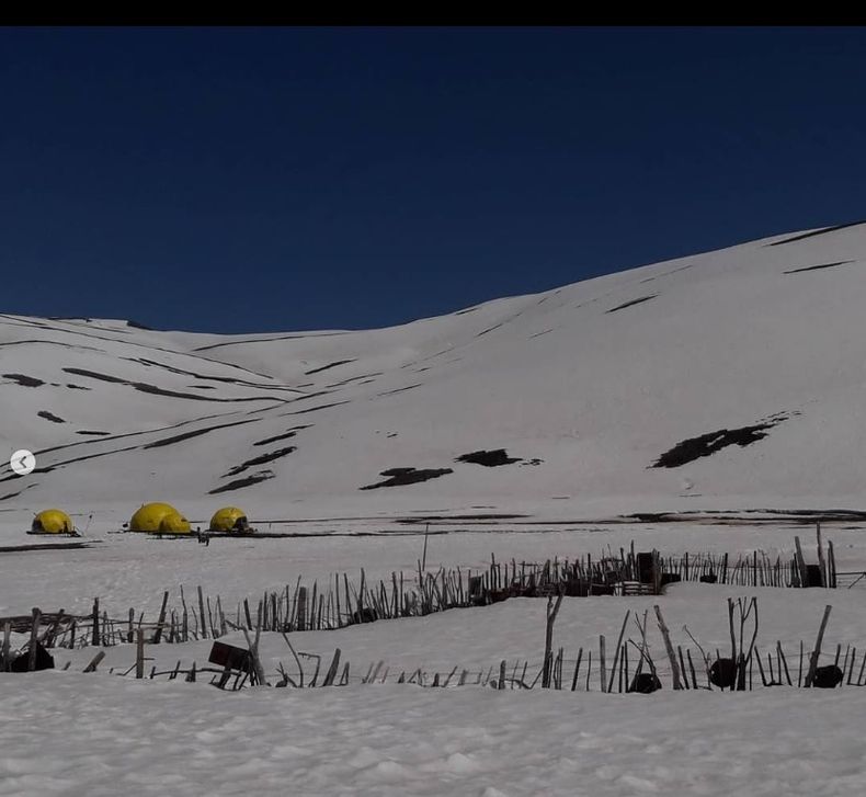 Uno de sus trabajos&nbsp;