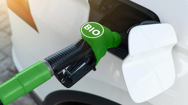 Promueven uso de biocombustibles para sustituir importación de gasoil