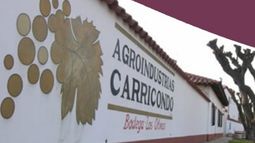 Agroindustrias Carricondo tiene nueva línea de envasado