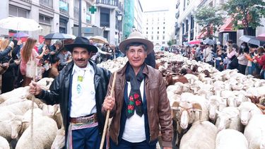 Los puesteros malargüinos Eliseo Parada y Juana Moyano en las calles de Madrid.