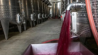 exportaciones de vino a granel: el sector advierte desventajas logisticas y comerciales frente a chile exportaciones de vino a granel: el sector advierte desventajas logisticas y comerciales frente a chile