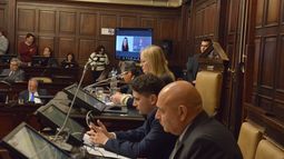 La Cámara de Senadores aprobó cambios en el Código Procesal para resolver pequeños conflictos de consumo