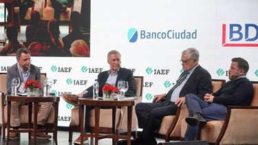 Dirigentes nacionales se encuentran en la Provincia, por la convención del IAEF