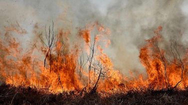 Bases para combatir los incendios en la provincia