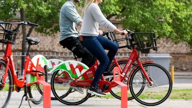Turismo en bicicleta: recorriendo Mendoza de otra manera