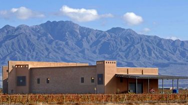 ¿A la sombra de Giol?: Vicentin sería la segunda bodega estatizada en 40 años