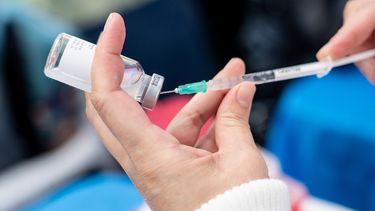 Vacunación contra la fiebre amarilla: costo, requisitos y países que la exigen.