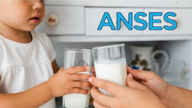Complemento Leche del Plan 1000 días: cuánto y cuándo cobro en octubre 2025