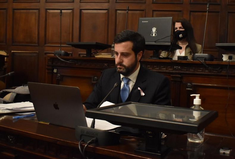 José María Videla Saenz, diputado, Frente Renovador, Legislatura