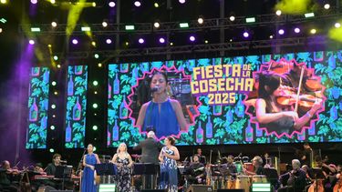 Ya se vive la Fiesta de la Cosecha en los viñedos del Aeropuerto