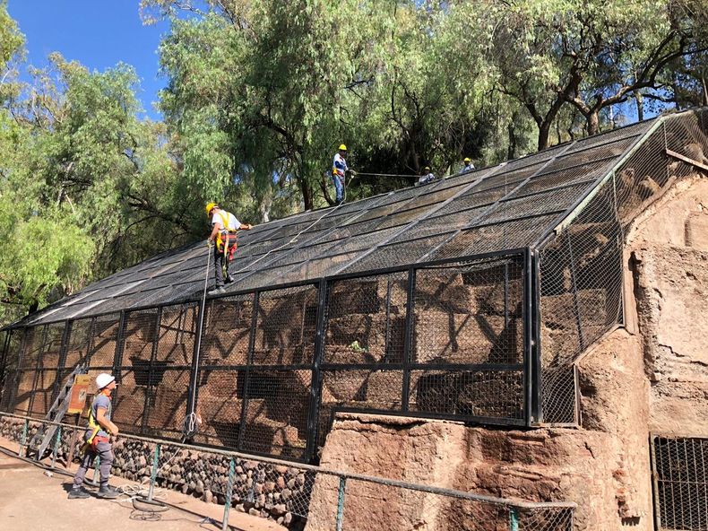 El predio actual de los monos papiones fue reparado años atrás. Se lanzó la licitación para un nuevo espacio para la especie en el Ecoparque