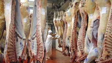 Lanzan plan ganadero para aumentar la producción de carne y mejorar la industrialización