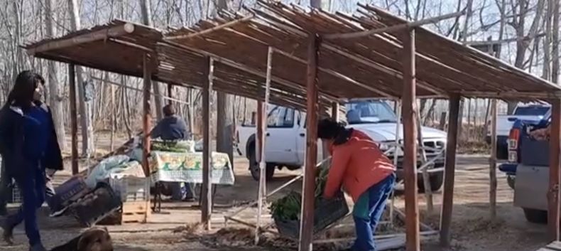 En Valle de Uco preocupa la situación del pequeño productor.