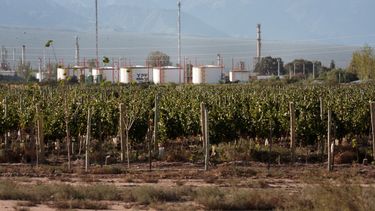 YPF registró un aumento de 15,5% en su producción de hidrocarburos