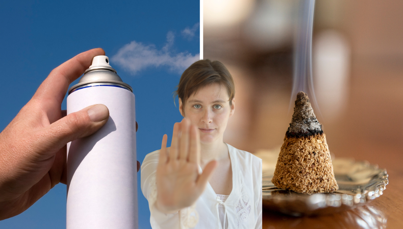 Descubrí la planta que supera a los sahumerios y aerosoles por su aroma exquisito