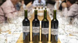 Mendoza se sube al lujo del grupo MoëtHennessy- Louis Vuitton