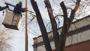 Desrrame y poda en Valle de Uco