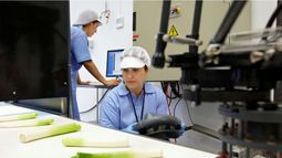 La actividad industrial cayó 2,4% en el primer semestre