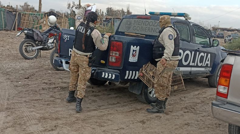 El procedimiento fue en Puente de Hierro, Guaymallén.