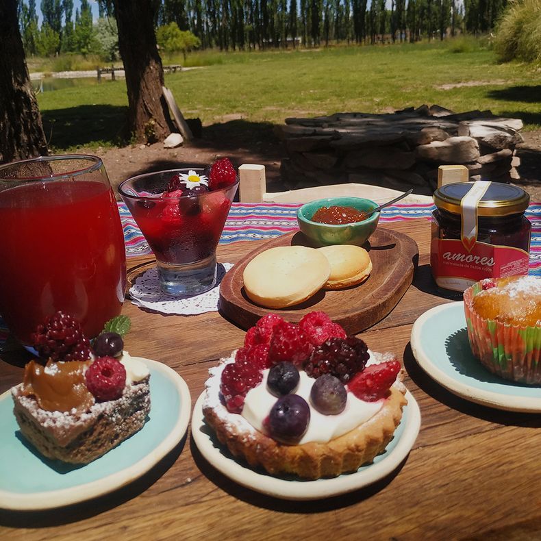 Los frutos rojos son los protagonistas de las meriendas malargüinas en la finca de Ana del Sol. 