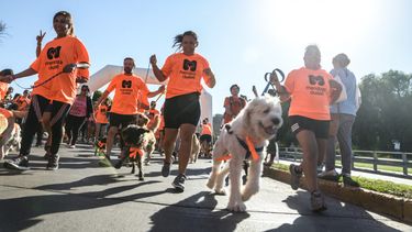 Sitio Andino | Maraton animal