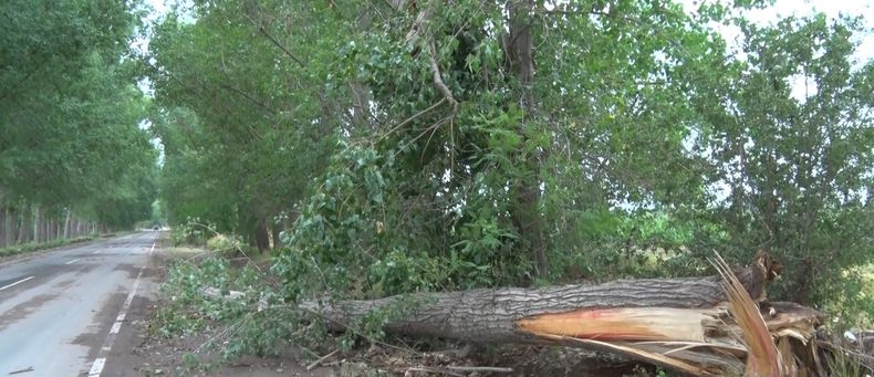 Consecuencias de la torrencial tormenta caída en Eugenio Bustos