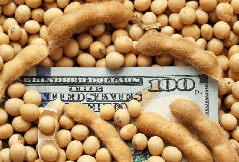 El desdoblamiento cambiario intenta frenar la sangría de dólares. En un año por viajes y turismo sale el equivalente a lo que logró el Gobierno con el dólar soja