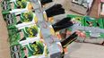 Intentaron pasar 50 aves a Chile en cajas de jugo y fueron detenidos por tráfico ilegal