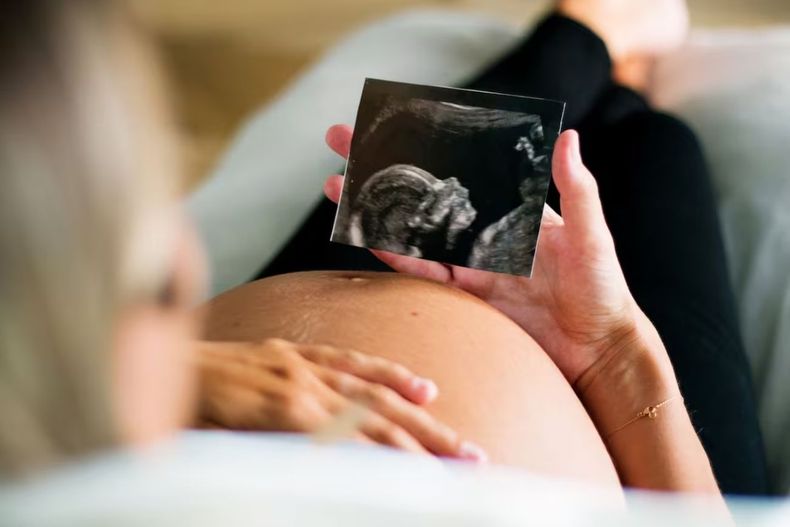 Día Mundial de la Fertilidad: por qué se celebra hoy, 4 de junio