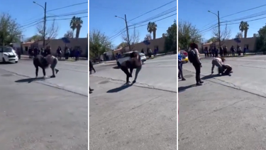 Transeúntes y otros estudiantes observaron la escena con sorpresa y preocupación Transeúntes y otros estudiantes observaron la escena con sorpresa y preocupación