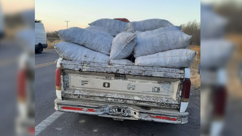 Secuestran 800 kilos de nueces robadas en San Carlos