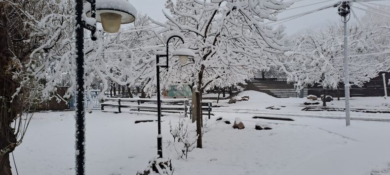 Seaguardan frío y nevadas intensas en en Valle de Uco.