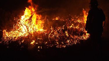 El 80% de los incendios son intencionales