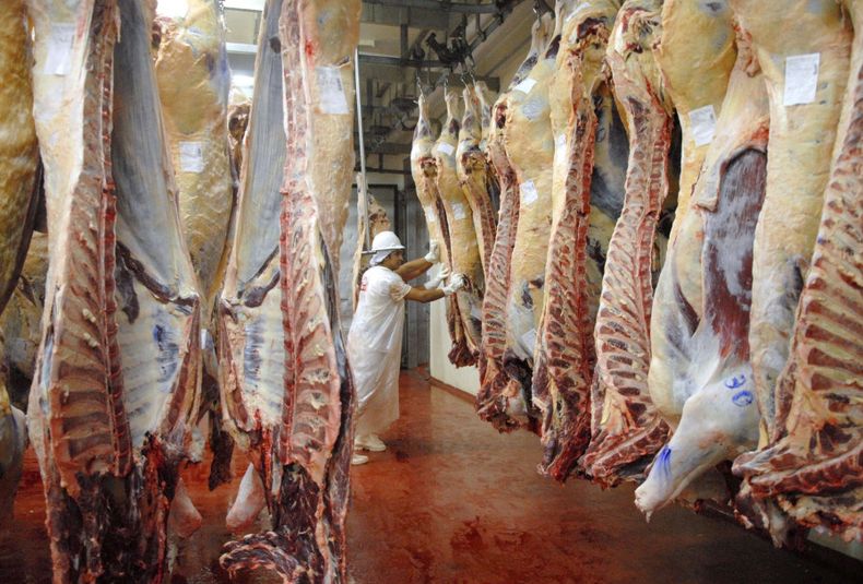 Carniceria, carne, carnes, pollo, cerdo, alimentos, aumento, aumentos, exportaciones