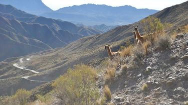 Cuál es el estado de las rutas de Mendoza, hoy miércoles 30 de agosto.
