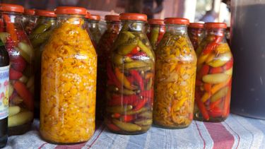 El botulismo y la salud de las personas.