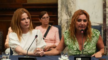 La periodista expuso en la Cámara de Diputados. A la izquierda, su colega Agustina Kämpfer