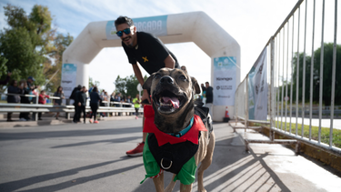 La Municipalidad de Mendoza impulsa una nueva edición de la Maratón Animal 2025