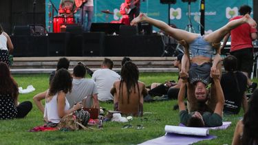 Sitio Andino | Picnics musicales, pez dragon