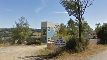 Sitio Andino | Zoologico Francia