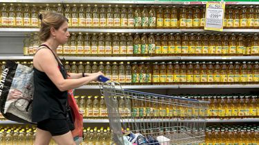 Inflación en la provincia de Mendoza: qué subió más en noviembre 2025 Inflación en la provincia de Mendoza: qué subió más en noviembre 2025