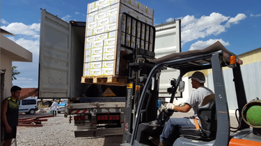 Las exportaciones del vino siguen con números en rojo, pero la industria se aferra al nuevo dólar