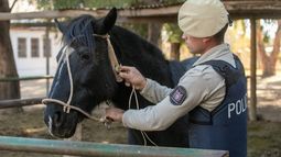 Policía Rural realizó un importante operativo de control en Tunuyán.