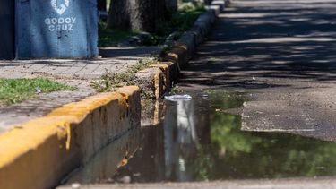 Dengue en Mendoza: el pedido urgente de las autoridades tras las intensas tormentas. Dengue en Mendoza: el pedido urgente de las autoridades tras las intensas tormentas.