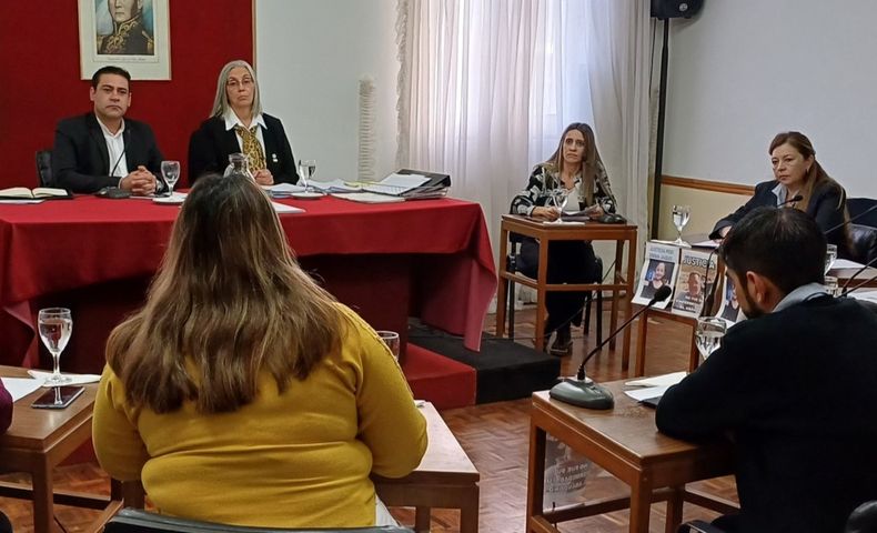 La secretaria del SUTE Malargüe en la Banca del Ciudadano (Foto gentileza HCD).