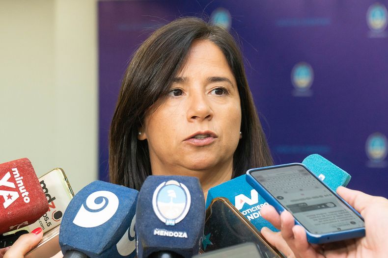 La subsecretaria de Infraestructura y Desarrollo Territorial, Marité Badui, dio detalles de las obras.